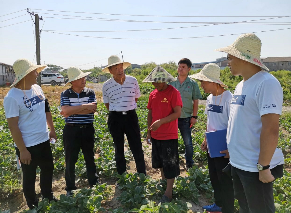 1597976509604075.png image.png