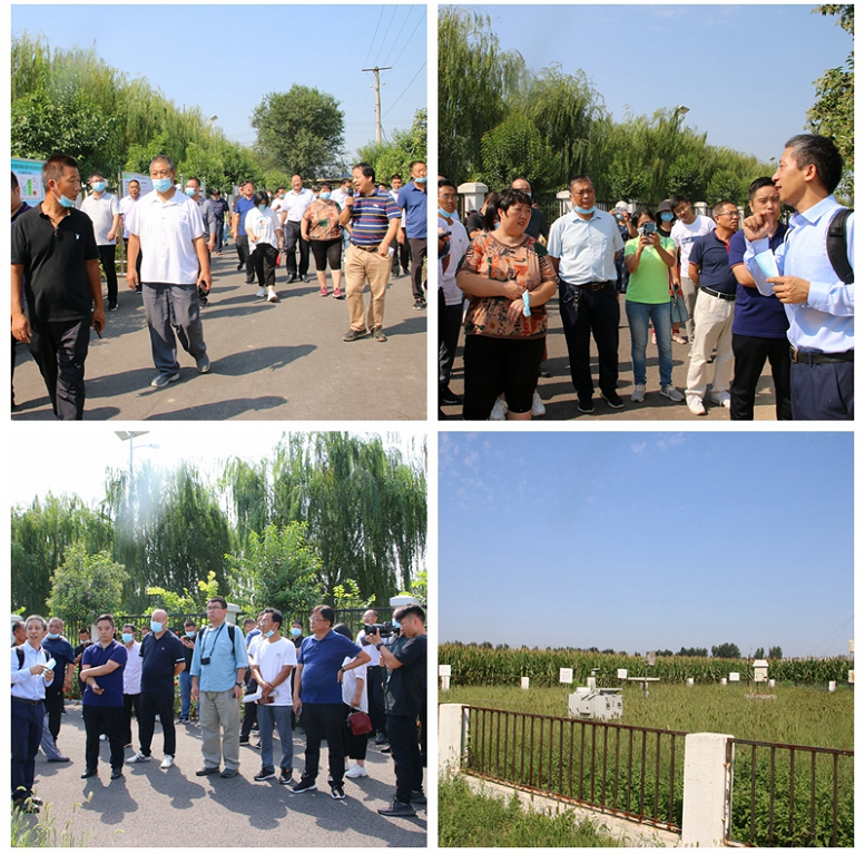 1599877656959334.png image.png