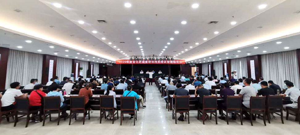 1600043244897750.png image.png