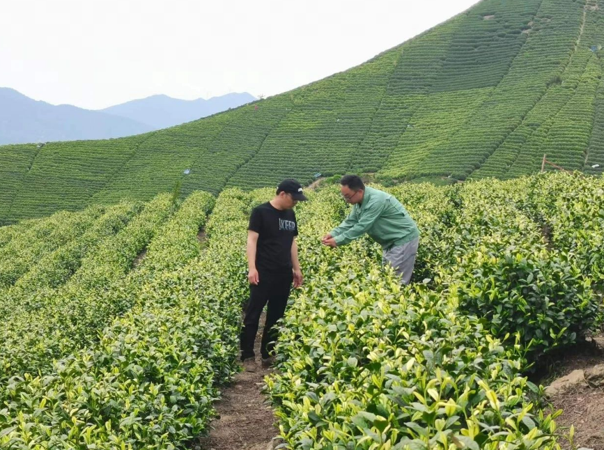 1686273291213669.png image.png